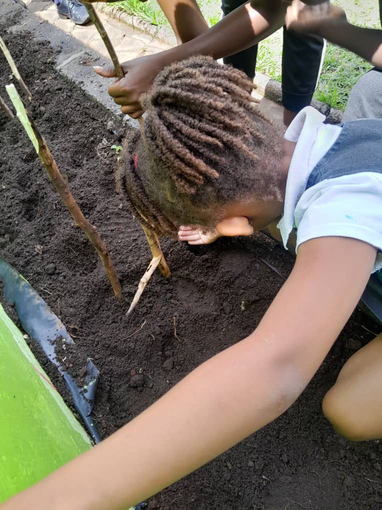 Gardening activities